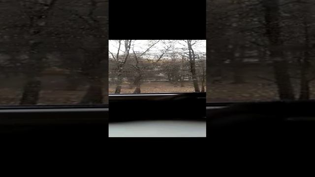 VID-20230103-WA0006.mp4 смотреть онлайн