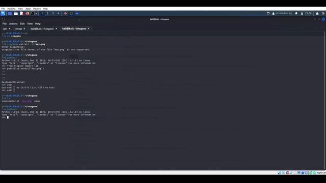THM Stegano walkthrough | Steganography | Python | OSINT смотреть онлайн