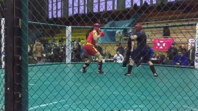 Ариф  Алиев марсей мма