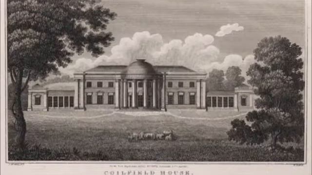 Coilsfield House (Scottish slow air), tenor guitar & mandolin смотреть онлайн