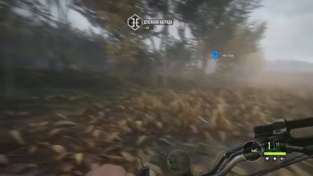 The hunter call of the wild охота с луком смотреть онлайн