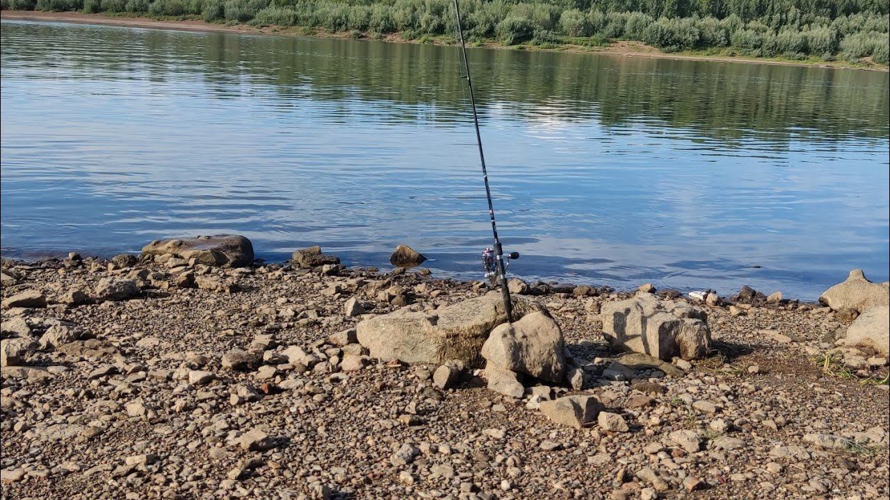 246 данек щавел смотреть онлайн