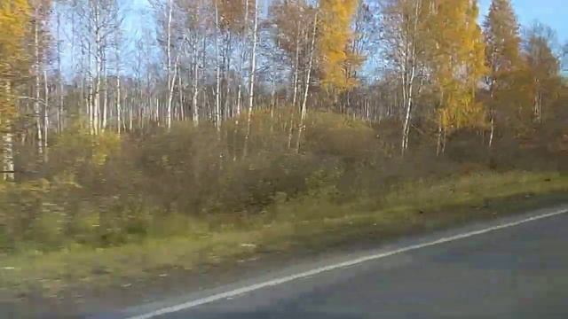 СОСНОВО-БЕРЕЗОВЫЕ леса Свердловской области в ОКТЯБРЕ месяце! ! смотреть онлайн
