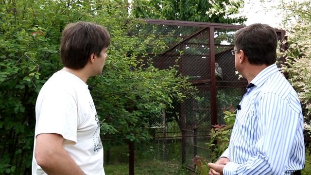 На даче у звезды №8 - Олекса Кибкало. Часть 1 смотреть онлайн