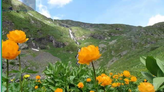 слайдвидео Эдиган-Уймень смотреть онлайн
