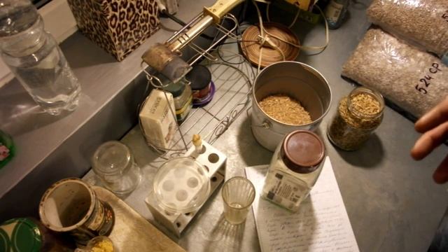 Как сделать мицелий приготовление агаровой среды, теория 1 смотреть онлайн