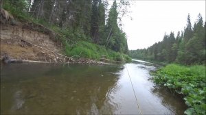 Уральский хариус.Ловим хариуса в Пермском крае в Июле