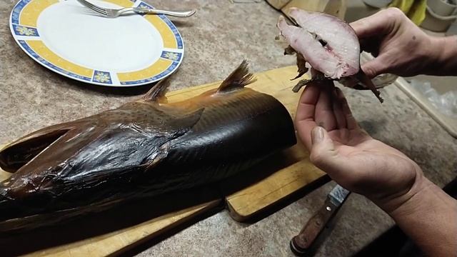 Ловля Веслоноса со льда( копчение) смотреть онлайн