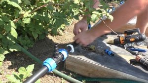 Капельный полив на клубнику от А до Я