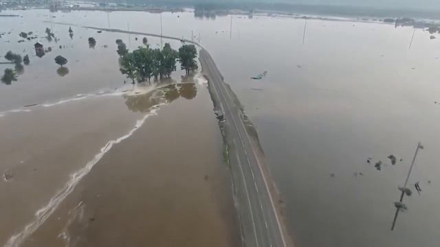 Девчонки Знакомства с Номерами Телефонов смотреть онлайн