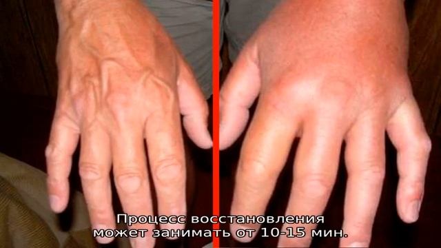 Пушистые Приключения