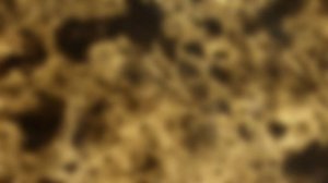 System Of A Down - Toxicity ( Lyrics + Перевод )