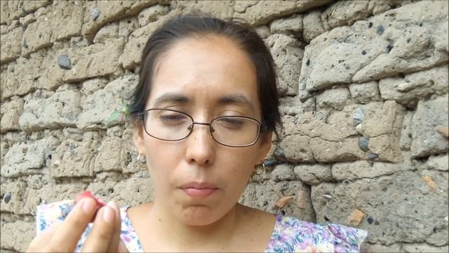 Guachocote, manzanita, nanche rojo, nancerol, Malpighia mexicana смотреть онлайн