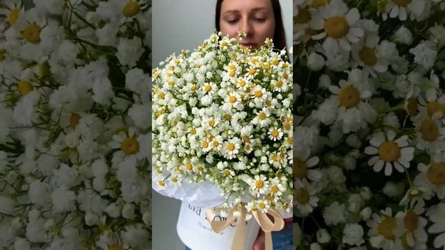 Боже какой миленький это про нее, эту композицию ромашек с гипсофилой ☺️⭐️ #букет #стильжизни #цвет смотреть онлайн