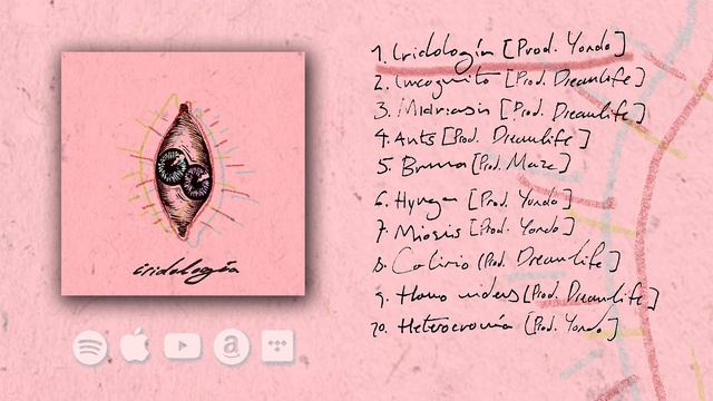 💽 1. IRIDOLOGÍA 💽 (AUDIO) смотреть онлайн