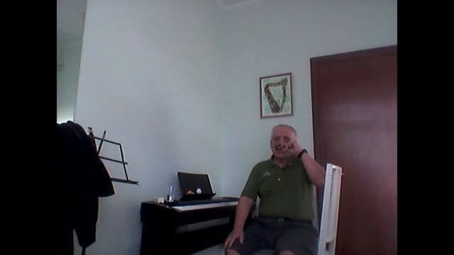 #губная_гармошка #harmonica Бомбардировщики, Борис #stratocastro смотреть онлайн