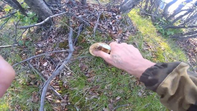 Питьевое озеро,грибов нет)))) смотреть онлайн