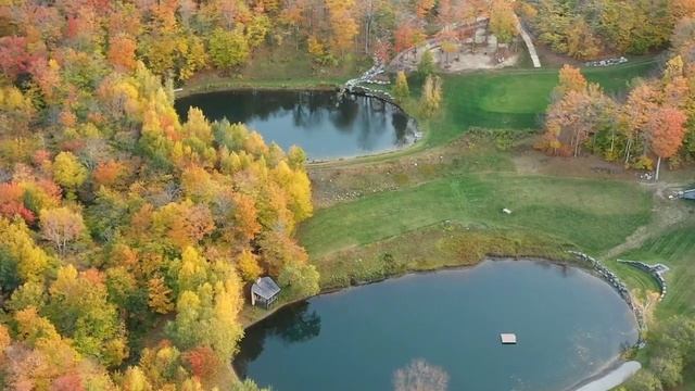 Все ваши тревоги исчезнут, если вы послушаете эту? Расслабляющую музыку. смотреть онлайн