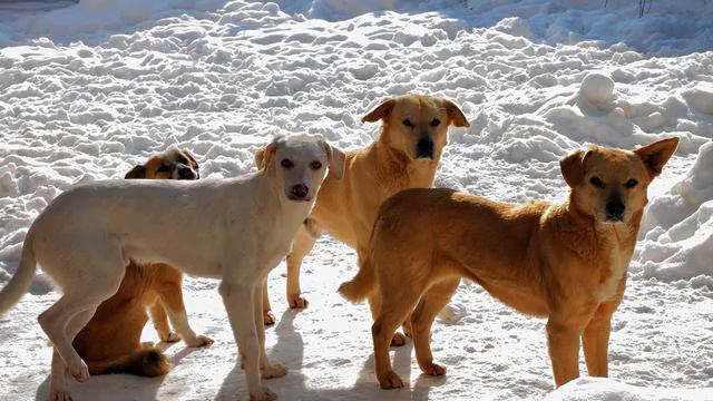 Слушать новую русскую песню для авто онлайн смотреть онлайн
