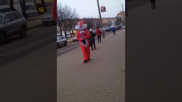 Одинокий оранжевый кролик смотреть онлайн