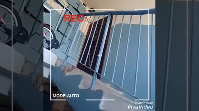 Призраки в подъезде смотреть всем и ставить лайки пишите коментте