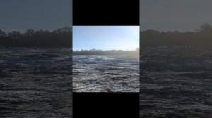 Краткий обзор с "башни" экскаватора 🎦 Brief overview from the "Tower" excavator 🎦