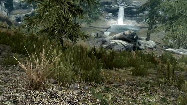 The Elder Scrolls V: Skyrim. Учебник «Де Рерум Диреннис» 3. Прохождение от SAFa смотреть онлайн