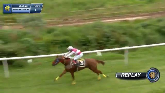 jockey -ishwar Singh (horse- golden streak) 6 draw 34th winner??? смотреть онлайн