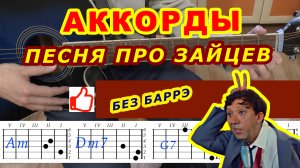 ПЕСНЯ ПРО ЗАЙЦЕВ Аккорды БРИЛЛИАНТОВАЯ РУКА ?♪ Разбор на гитаре ♫ Гитарный Бой для начинающих