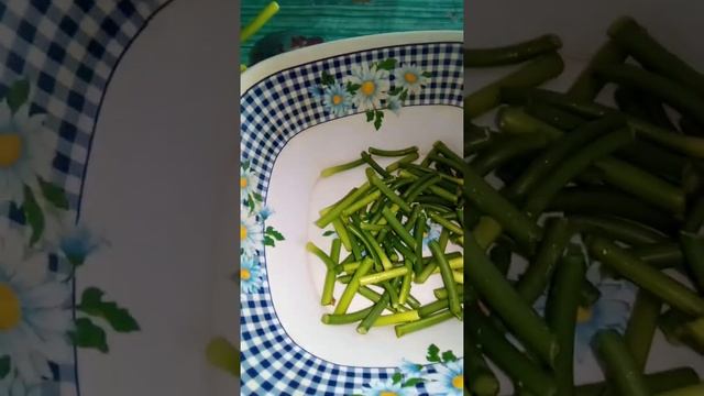 ВСЮ НОЧЬ СОБАКИ НЕ ДАВАЛИ СПАТЬ смотреть онлайн