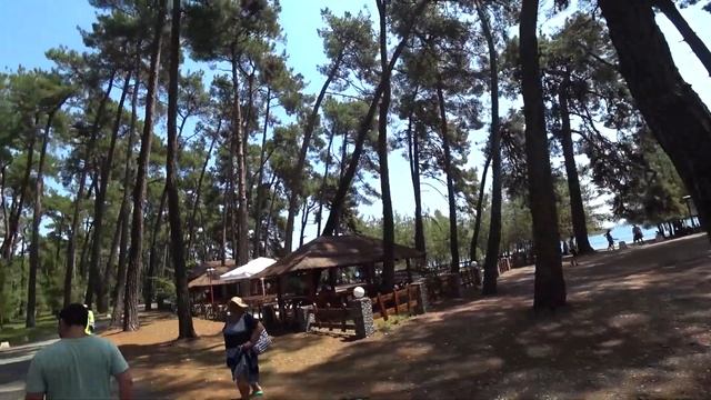 АБХАЗИЯ! Пицунда! Ныряем на "Кораловом рифе", трогаем рыбу, кушаем в реликтовой роще! смотреть онлайн