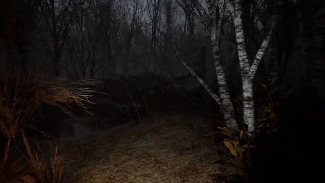 Horror Story: Hallowseed -1- ВЕДЬМА ИЗ БЛЭР [Прохождение на русском] смотреть онлайн