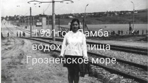 Старый Грозный от 1850 года.