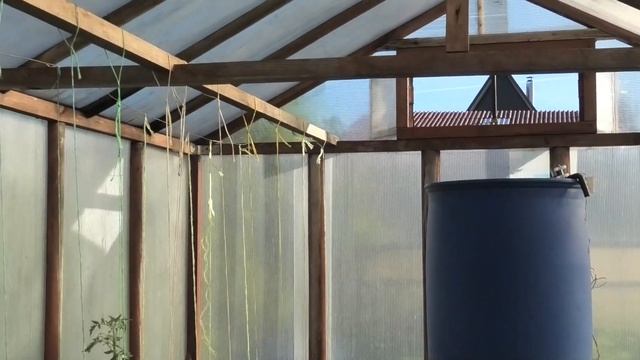 сад,теплица,выращивание гороха  под Архангельском