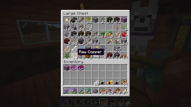 Java and Bedrock Multiplayer server! (Info to Join in bio) смотреть онлайн