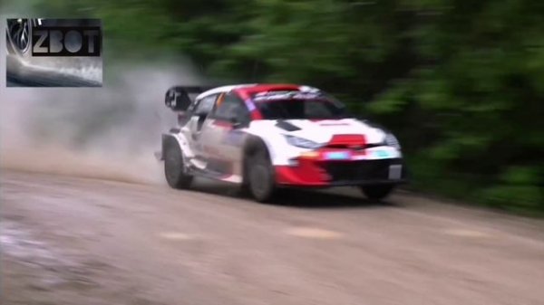 ❕ Rally WRC ❕