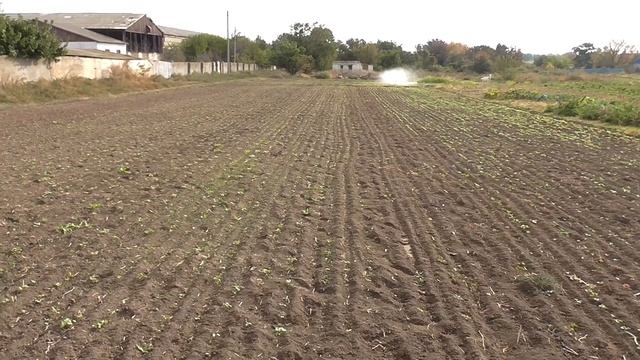 Не растет горчица... смотреть онлайн