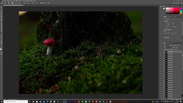 How to create & photoshoot GLOWING illuminated mushrooms in the forest. FREE fungie tutorial! смотреть онлайн