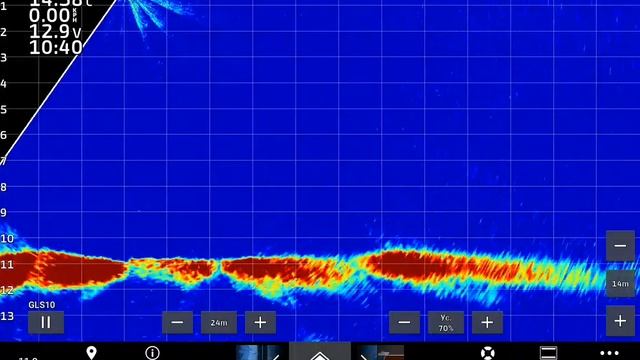 Huge catfish... Большой сом на экране #Garmin #Panoptix #livescope #neptunfishinglv смотреть онлайн