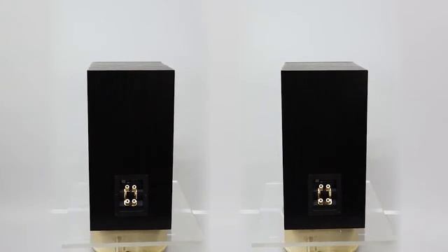 ATC SCM19 V1 Black Ash смотреть онлайн