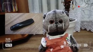 ВЛОГ С БАСИКАМИ | Миша и Лили играют в прятки