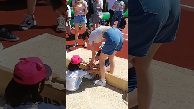 #maswrestling #спорт #детиспорта #салютгераклион смотреть онлайн