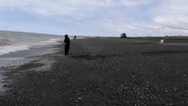 Камчатка, море наваги на море Охотском. смотреть онлайн