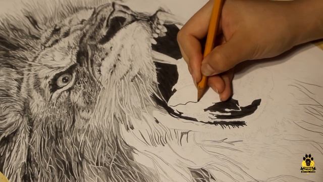 РИСУЕМ ПРАЙД! смотреть онлайн