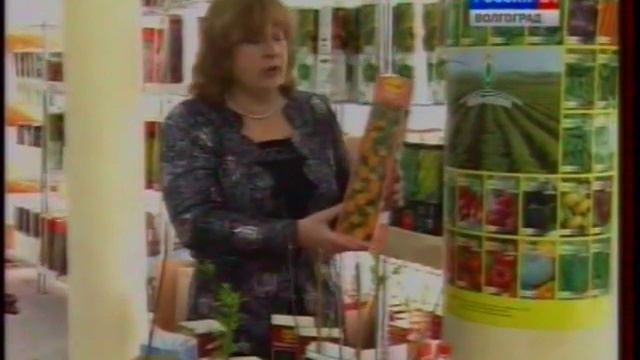 Декоративные кустарники. Форзиция. Жасмин садовый. Вейгела. Лапчатка. Дейция. Айва японская. смотреть онлайн