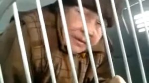Бабка ругается матом в ментовской машине