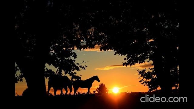 Заход солнца 2 смотреть онлайн