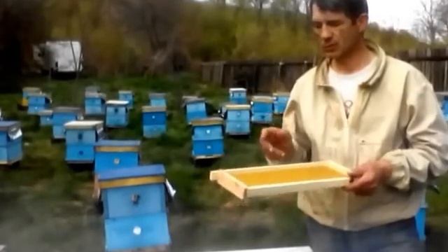 Строительная рамка на пасеке. смотреть онлайн