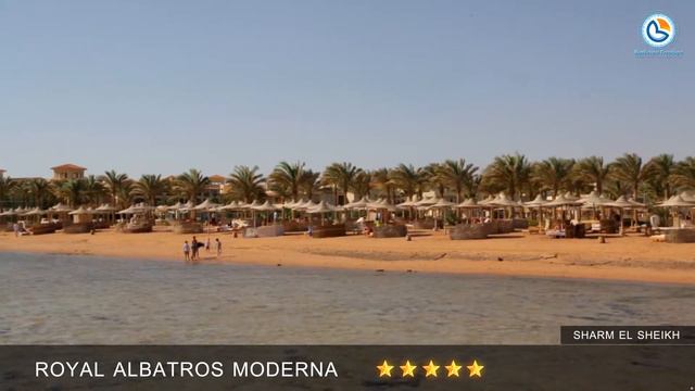 Royal Albatros Moderna wofx смотреть онлайн
