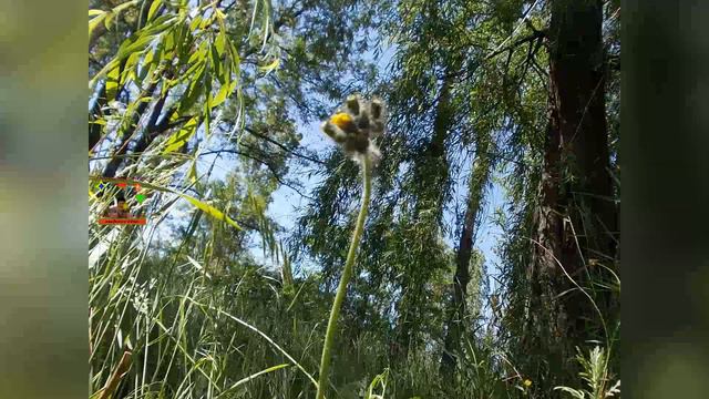 Как же легко на природе чувствовать гармонию мира | feel the harmony of the world смотреть онлайн